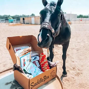 SaddleBox